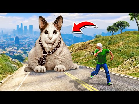 Видео: БУ ИСПУГАЛСЯ НЕ БОЙСЯ СЛЕДИТ ЗА МНОЙ в ГТА 5! Страшный Мем Кот в GTA 5