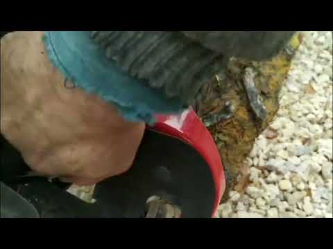 Видео: Минитрактор Zimani BX 25, первые впечатления. ЧАСТЬ 2