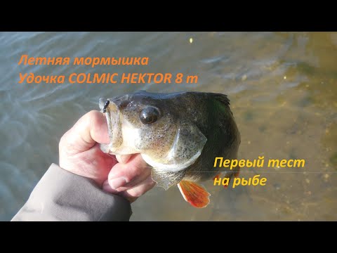 Видео: Летняя мормышка. Удочка COLMIC HEKTOR 8 m. Первый тест на рыбе.