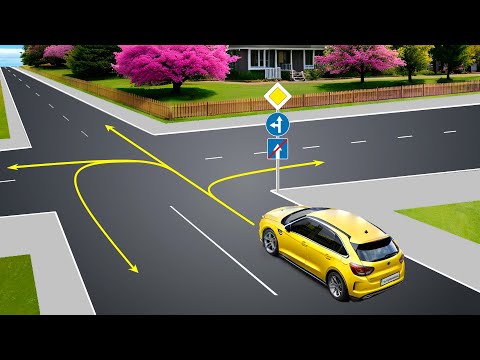 Видео: Куди дозволяється продовжити рух?/Три задачки з ПДР