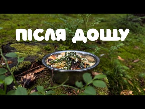 Видео: ПІСЛЯ ДОЩУ
