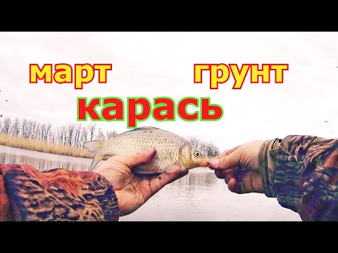 Видео: Карась в начале марта на фидер. Очень трудовая рыбалка на карася. Грунт для ловли карася карася