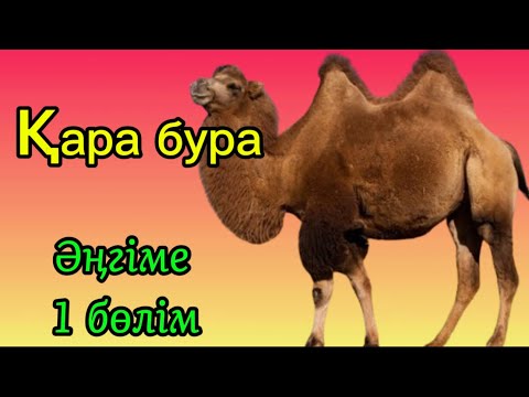 Видео: Қара бура /  Асқар Алтай / Әңгімелер