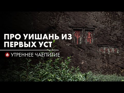 Видео: Секреты заповедных гор  | Стрим Art of Tea