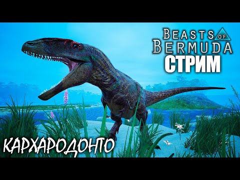 Видео: ВЫЖИВАНИЕ ЗА КАРХАРОДОНТОЗАВРА | BEASTS OF BERMUDA ► СТРИМ