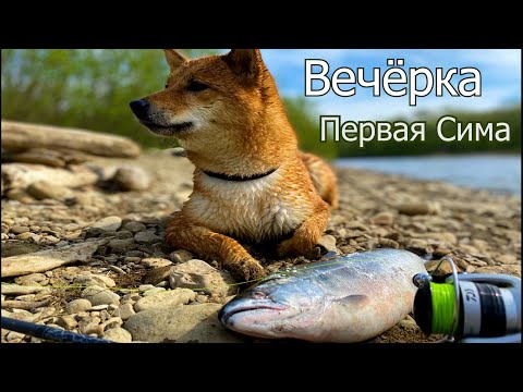 Видео: Вечёрка | Первая сима | Сахалин