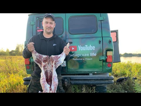 Видео: РЫБАЛКА С ПАЛАТКАМИ НА ДВОЕ СУТОК!ГОТОВИМ БАМБАЛЭЙЛУ ИЗ БАРАНА, ЛОВИМ НА ФИДЕРЫ И СПИННИНГ!