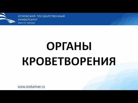 Видео: Органы кроветворения. гистологические препараты