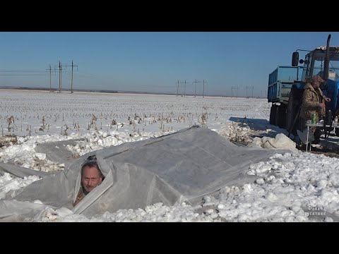 Видео: Охота на гуся под Саратовом, весна 2020