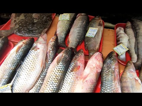 Видео: ОГРОМНЫЙ ВЫБОР СВЕЖЕ-ВЯЛЕНО-КОПЧЕНОЙ РЫБЫ НА РЫНКЕ В АДЛЕРЕ.