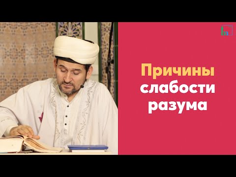 Видео: Причины слабости разума