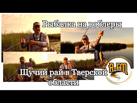 Видео: Рыбалка на воблеры и щучий рай в Тверской области