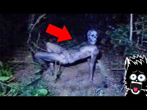 Видео: КРАБ-МОНСТР В ЛЕСУ и ДРУГАЯ КОТОВАСИЯ СНЯТАЯ НА КАМЕРУ [Черный кот]