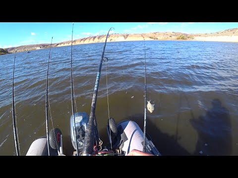 Видео: лещ на Дону с лодки 🐋🎣📽️💥на пучок червей,поиск по маслам и ямам #рыбалка #лещ #дон #fishing #осень