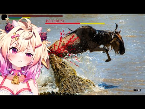 Видео: Крокодилы — OP? | rosiebellmoo реагирует на tierzoo