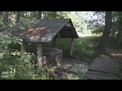 Видео: Золотарёвка (часть 1)