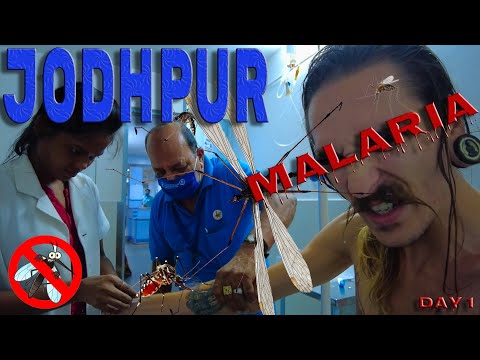 Видео: Джодхпур - синий город. Игры со смертью. Малярия. Попал в Индийскую больницу (часть первая)