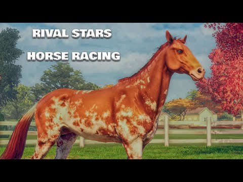 Видео: Распродажа лошадей 6ти звезд в Rival Stars Horse Racing!