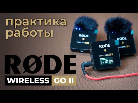 Видео: Rode Wireless Go II | Практика работы