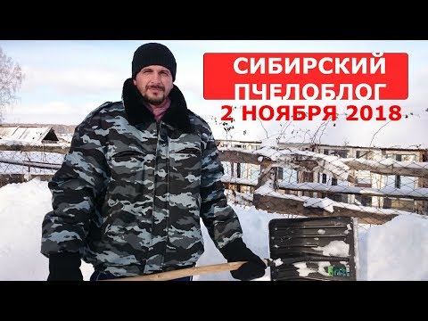Видео: одних в зимовник других под снег/зимовка пчел в помещении и под снегом