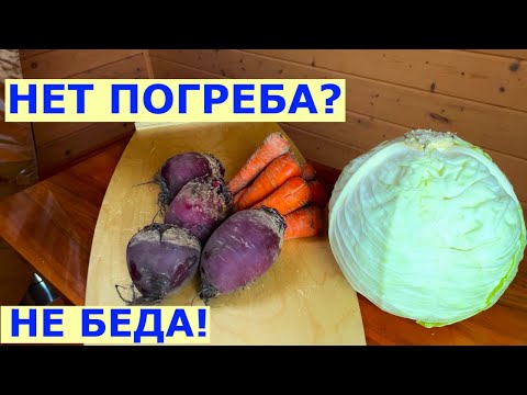 Видео: Хранение овощей зимой без погреба.