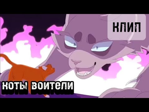 Видео: Коты воители ~[КЛИП]~ 🐱Хэй знаеш сколько я скрестил мечей