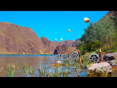 Видео: РЫБАЛКА НА ЗАКИДУШКИ В СКАЗОЧНЫХ МЕСТАХ! Река Или. Каждый должен это увидеть. Рыбалка 2022. ИЮЛЬ
