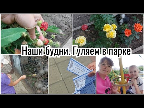 Видео: ПОПАЛИ В какой то  ЗООПАРК 🙈 ПРОГУЛКА. ПОКУПКИ. ВЫХОДНЫЕ БЕЗ САДА