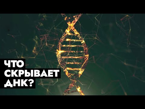 Видео: Евгеника, мутации и интеллект – какие тайны хранит ДНК? | В поисках истины