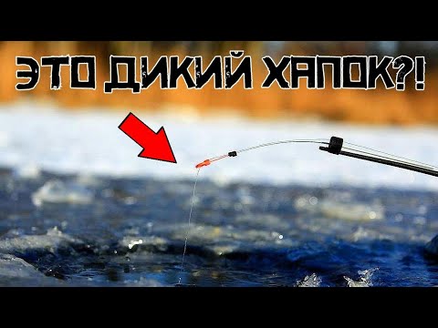 Видео: ЛЕСКА ЗВЕНИТ от ТАКОГО! НАРВАЛСЯ на крупняк! Рыбалка 2023 - 2024 РАДУЕТ!