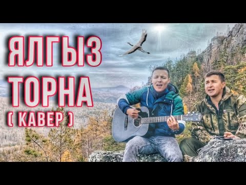 Видео: ТАТАРСКАЯ ПЕСНЯ ЯЛГЫЗ ТОРНА | кавер на песню ФИРДУСА ТЯМАЕВА