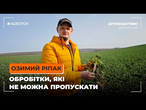 Видео: Озимий ріпак: обробітки, які НЕ МОЖНА ❌ пропускати
