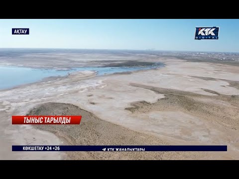 Видео: «Қошқар ата көлін залалсыздандыру». Ақтаулықтар он күн бойы сасыққа тұншығып отыр