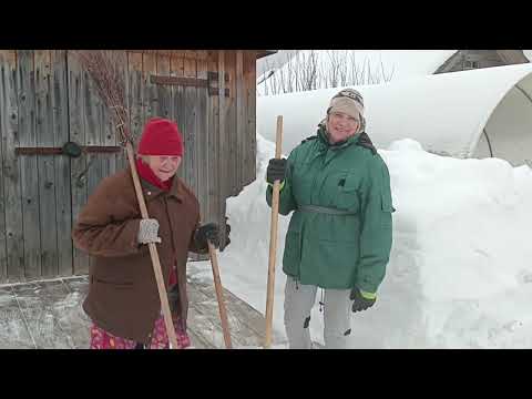 Видео: С утра в город за покупками, после вкусного обеда - все на работу.