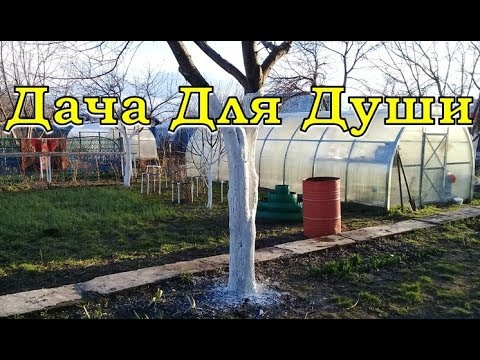 Видео: Как выбрать ТЕПЛИЦУ?  Все нюансы по полочкам