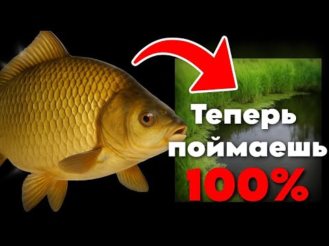 Видео: СЕКРЕТЫ ЛОВЛИ КАРАСЯ НА СПИННИНГ! Улов гарантирован! МОРМЫШИНГ 2025