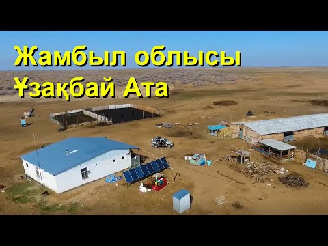 Видео: Жаңашыл отбасылық «Ұзақбай Ата» компаниясының мамандарымен сұхбат. Полилактовит® пробиотигі.