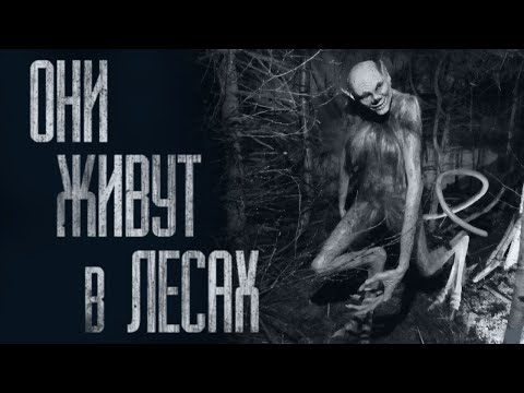 Видео: ЗРЯ В ЛЕС ЗАБРЁЛ... Страшные истории от Гробовщика. Истории на ночь. Хоррор. Фильмы Ужасов