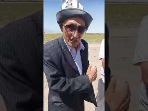 Видео: 24.06.21 ж.Панфилов р-гы Күрпүлдөк айылында суу чыгып эл бата берди.