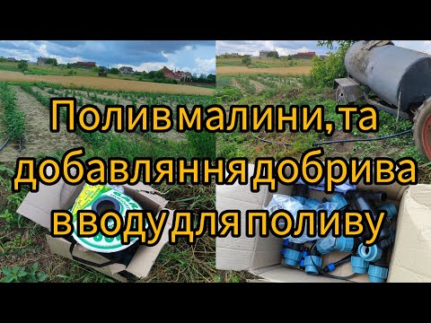 Видео: Полив малини, та підживлення
