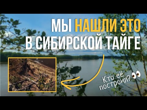 Видео: 🌲Неожиданная находка В ЛЕСУ | Вы бы спустились?⚡️
