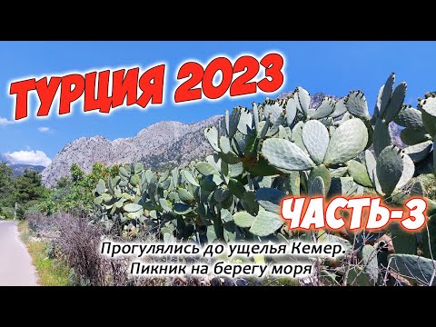 Видео: Турция 2023. Часть-3. Прогулка до ущелья Кемер. Пикник на берегу моря.