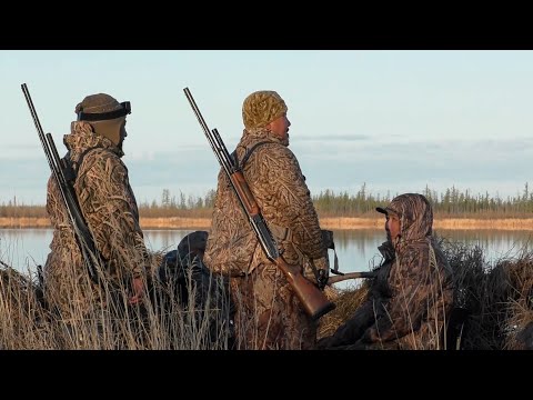 Видео: ОХОТА НА ТУРПАНА НА КОЛЫМЕ 2023 .4.DUCK HUNTING 2023 IN SIBERIA. KOLYMA/ PART 4