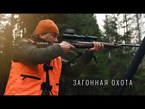 Видео: ЗАГОННАЯ ОХОТА НА ЛОСЯ / КАК ПРОХОДИТ САМА ОХОТА / ОПТИЧЕСКИЙ ПРИЦЕЛ MEWLITE 1-8х24, SPF, 30 mm