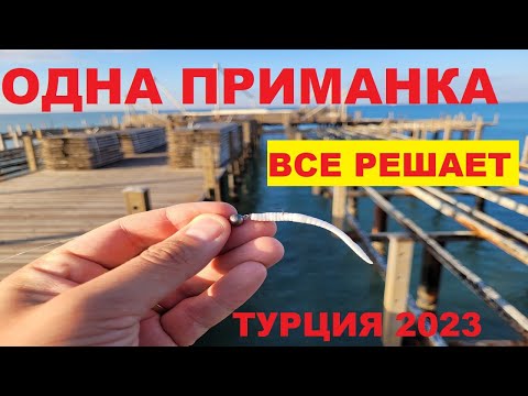 Видео: НЕ ЗРЯ ВЗЯЛ СПИННИНГ!!! Морская рыбалка в Турции! Рокфишинг в Белеке!  Рыбалка на спиннинг Турция