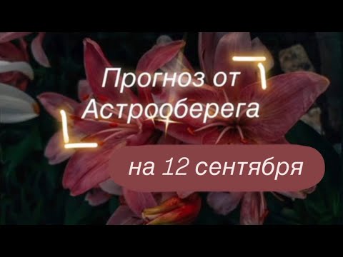 Видео: Лера Астрооберег делает прогноз на 12 сентября. 🔮 Смотрите сейчас! Главные енергии дня!
