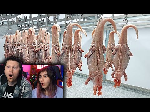 Видео: Еда, Которую Могут Купить Только Богатые Люди | РЕАКЦИЯ на tophype