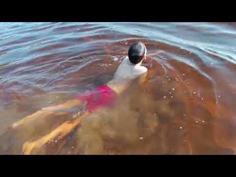 Видео: Мечты должны сбываться# Путешествие в Карелию# Дорога# Часть первая