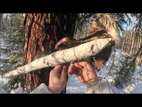 Видео: Добыли Соболя, поставили капкан на Волка 🐺