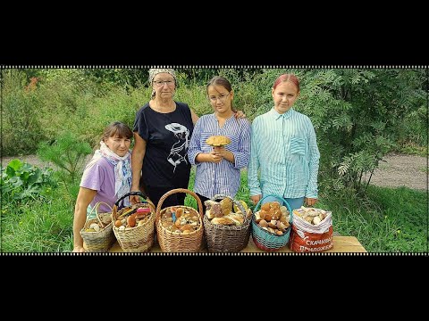 Видео: Не могли уйти из леса, собрали урожай в деревне